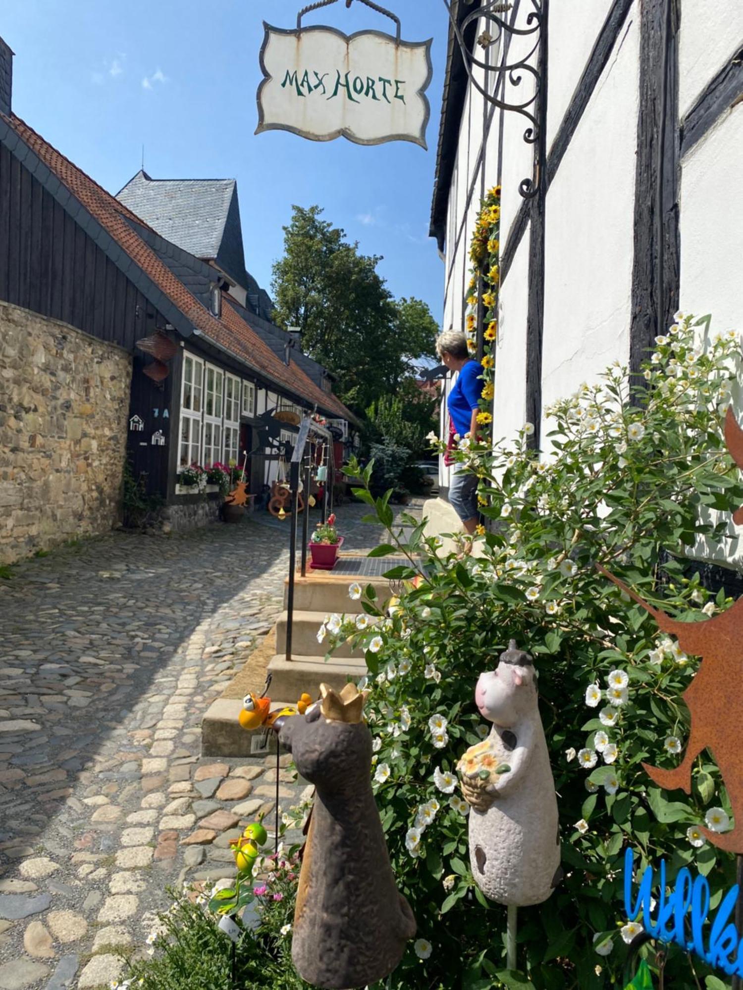 Fewo Georgenberg Goslar Dış mekan fotoğraf