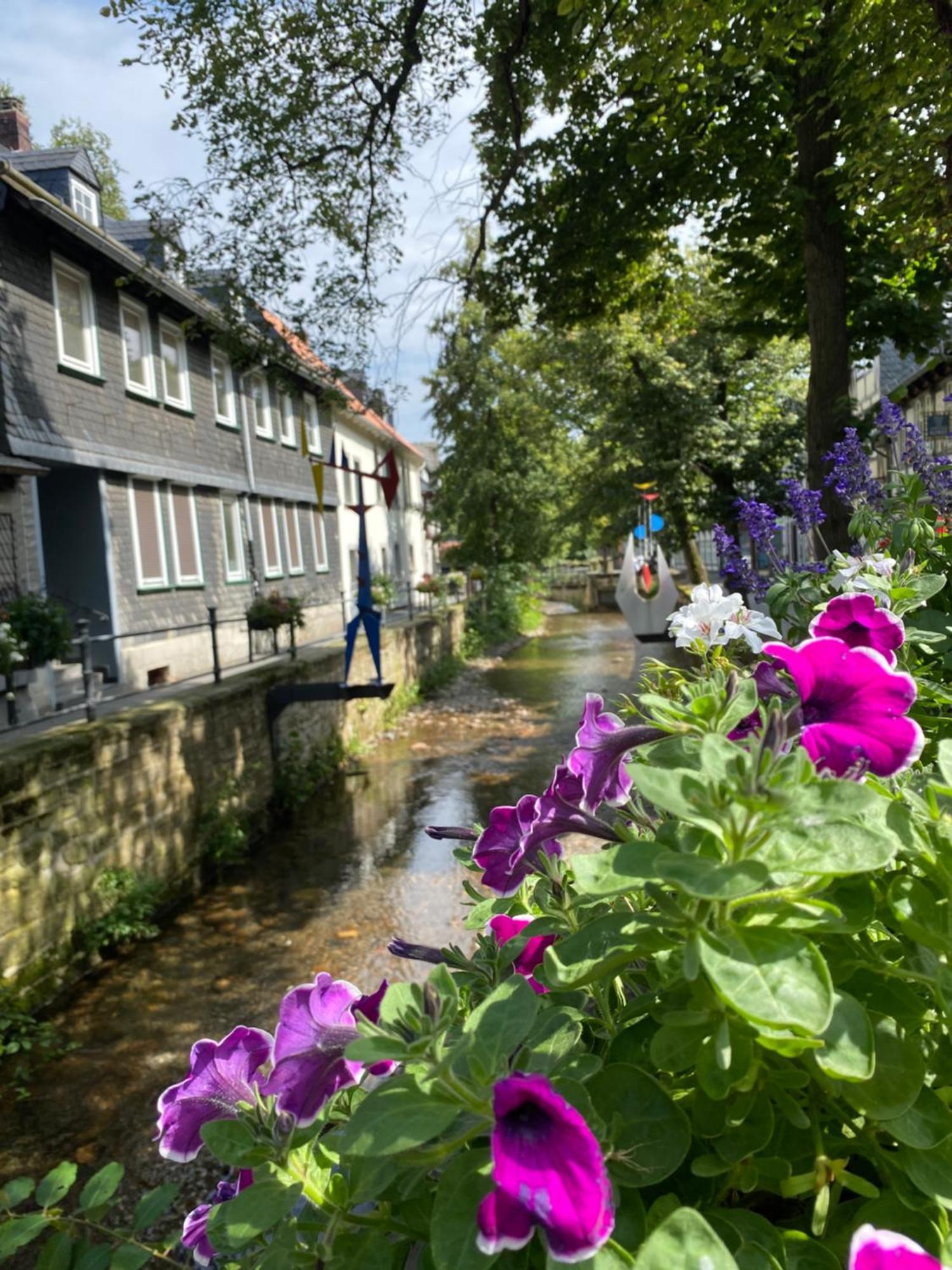 Fewo Georgenberg Goslar Dış mekan fotoğraf