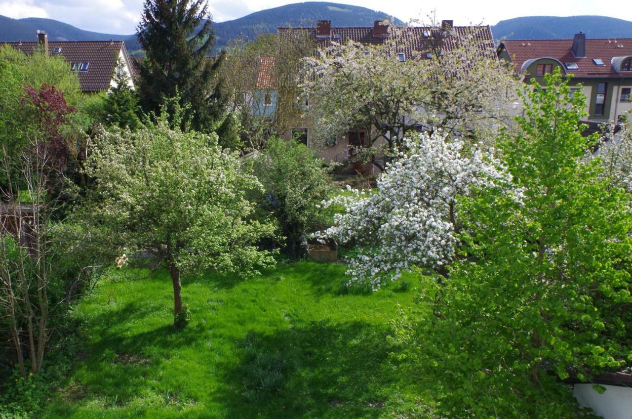 Fewo Georgenberg Goslar Dış mekan fotoğraf