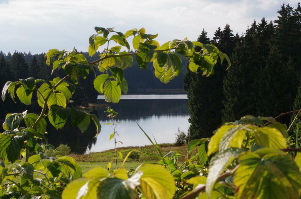 Fewo Georgenberg Goslar Dış mekan fotoğraf